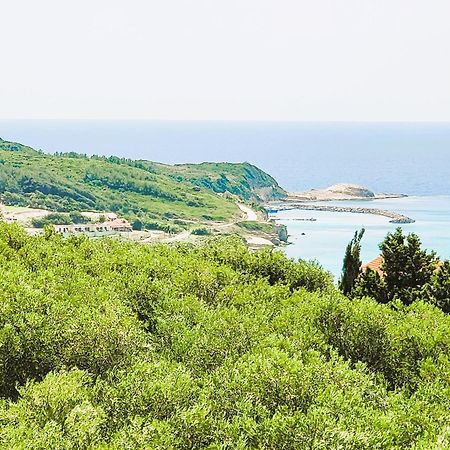 Claudiagapi Apartments Korfu Agios Stefanos Avliotes  Exterior photo